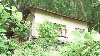 境界が不明確な土地